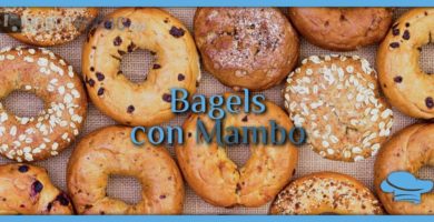 Bagels con Mambo