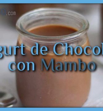 Yogurt de chocolate con Mambo