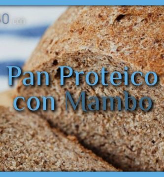 Pan Proteico con Mambo
