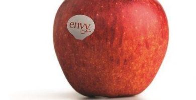 manzanas envy