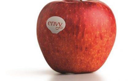 manzanas envy